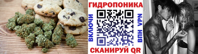 Купить где  Чернушка  Cannafood конопля 