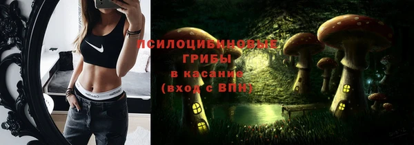 меф Вяземский