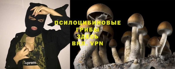 бутират Горняк