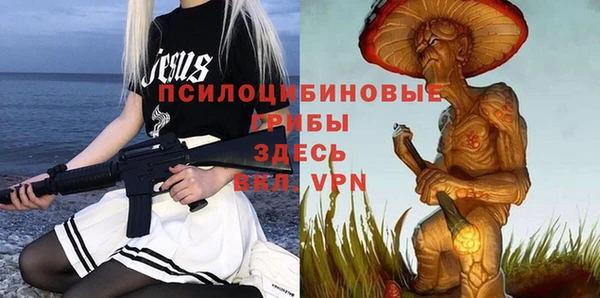 прущие грибы Сосновый Бор