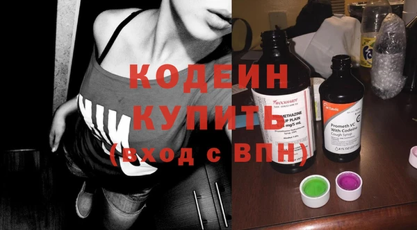 прущие грибы Сосновый Бор